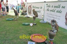 Photo 6x4 Rutland Falconry at