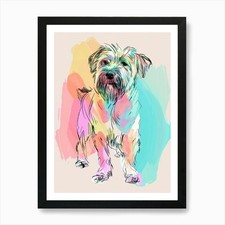 Coated Wheaten Terrier Dog