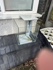 Fish Tank Aquarium