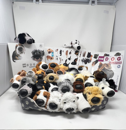 The dog collection dogs - collection,