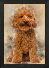 Cross breed dog 7 months o
