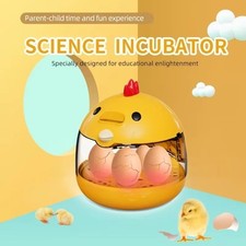 Egg Incubator Practical Eggs