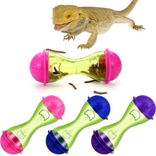 Kathfly bearded dragon treat - kathfly,