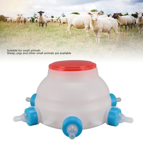 Lamb nursing bottle - lamb,