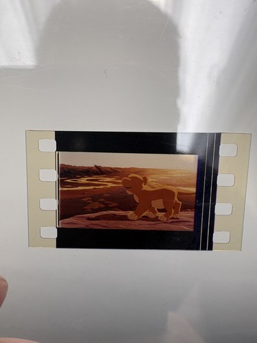 Lion king 35mm film cell - lion,