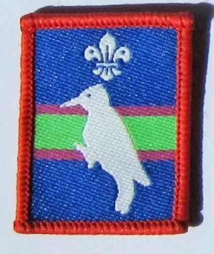 Scout patrol badge - patrol,