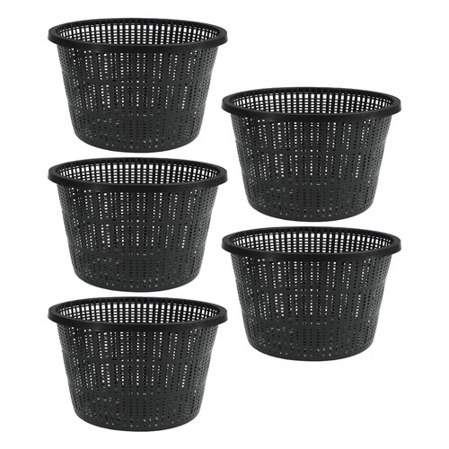 Large inch for plant - large,