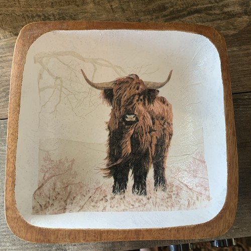 Highland cow decorative - cow,