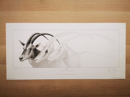 Gary hodges limited edition - gary,