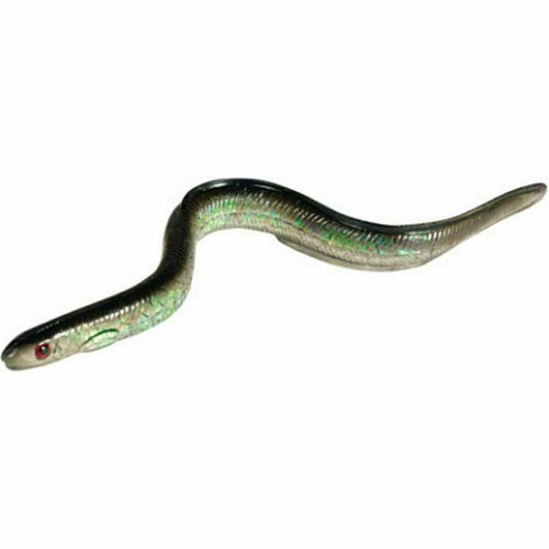 Sidewinder shimmer eels - x, 10
