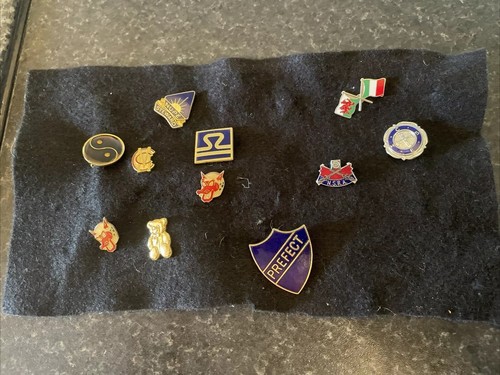 11x variety vintage lapel pin - variety,