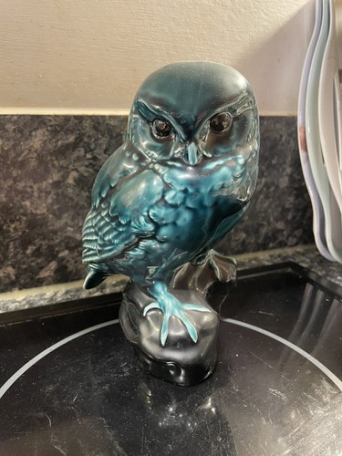 Poole blue mountain - poole, owl