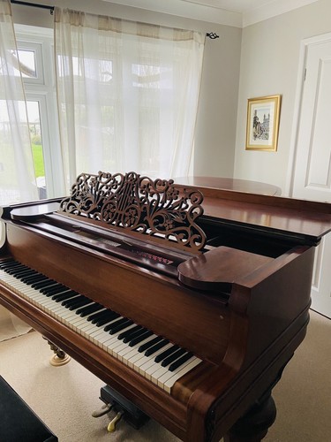 Schiedmayer grand piano - grand,