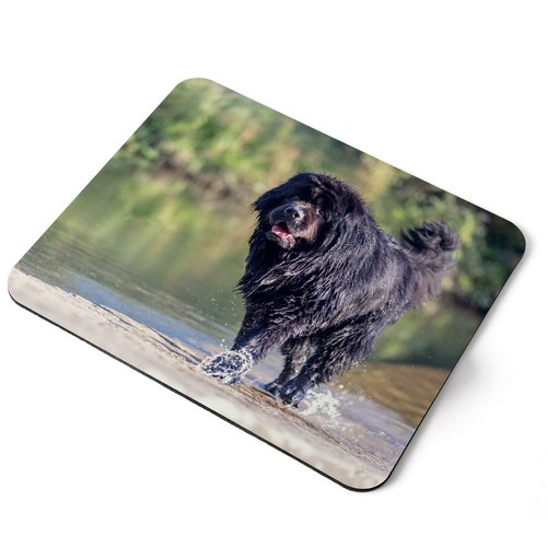 Mouse mat pad newfoundland - -,