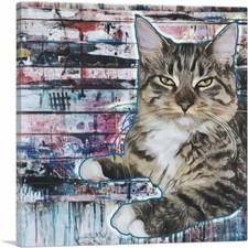 ARTCANVAS American Bobtail Cat