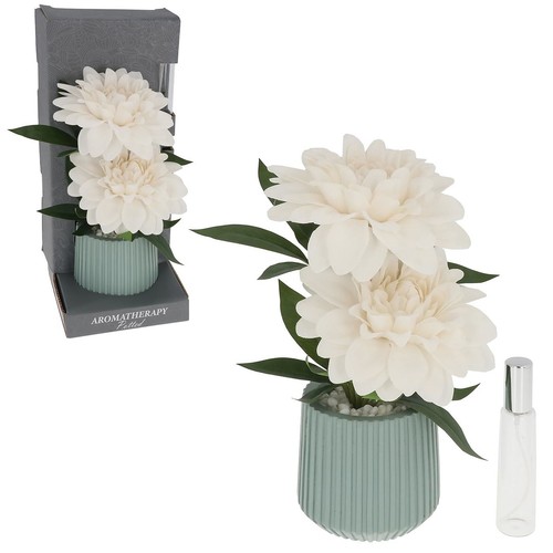 Shudehill giftware - shudehill,