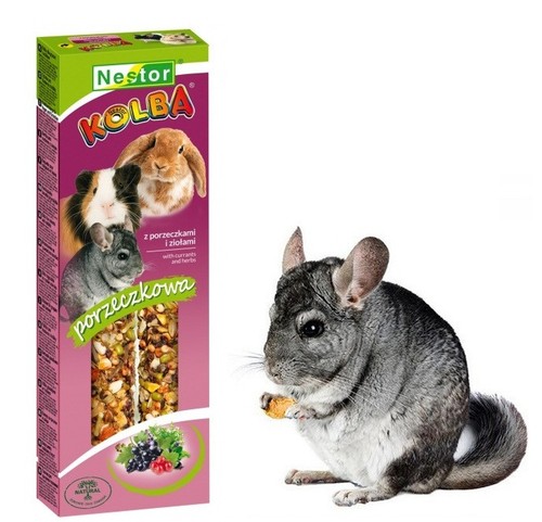 Chinchilla two sticks - chinchilla,