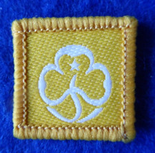 Vintage Brownie Guide Birthday