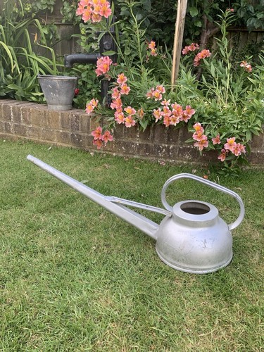 Vintage galvanised watering - vintage,