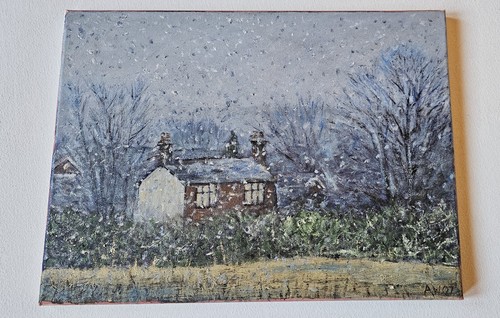 Cannock chase snow shower 2007 - cannock,