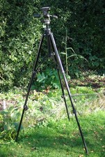 Manfrotto 074B Professional Camera Tripod With Manfrotto 029 Mk2 Head, 6ft