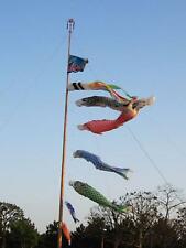 Carp Windsock Fish Flag Kite -