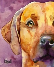Rhodesian Ridgeback Print of Original Fine Art Watercolor by Ron Krajewski