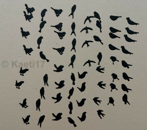 Tiny mixed black - , birds