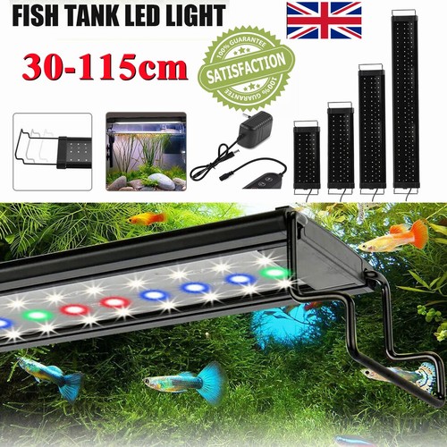 115cm aquarium fish - 30-115cm, tank