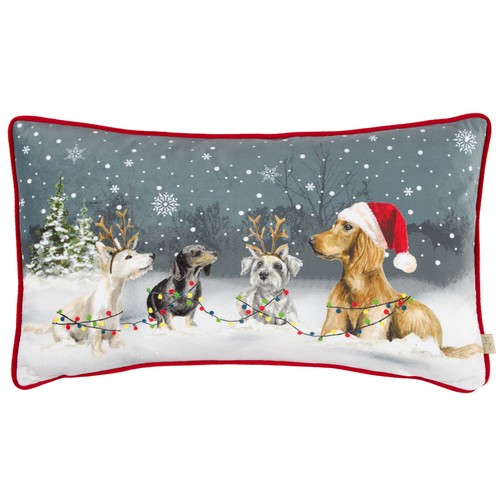 Evans lichfield christmas - evans,