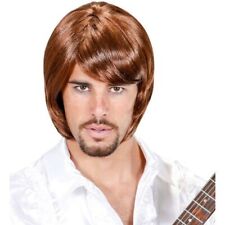 Mens 1970s Pop Star Bjorn Wig
