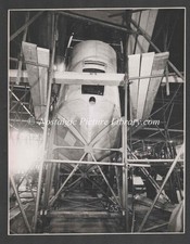 ORIGINAL PHOTOGRAPH  SHORTS