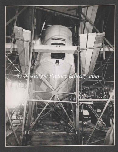 Original photograph shorts - original,