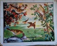 Eileen Soper: Vintage Enid Blyton Prints