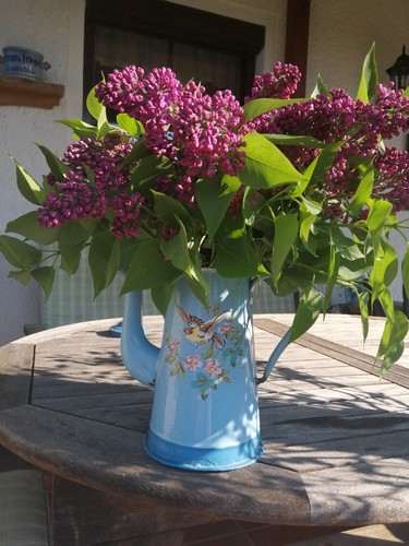 Old french enamel jug bird - old,