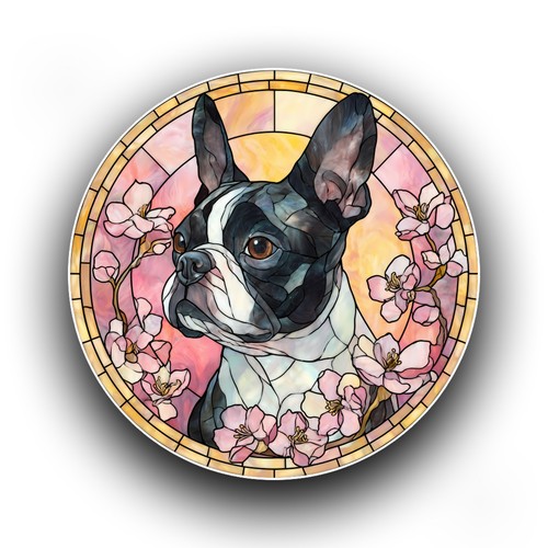 Boston terrier spring - terrier, flowers