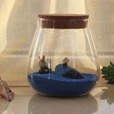  Glass Jars with Cork Lids