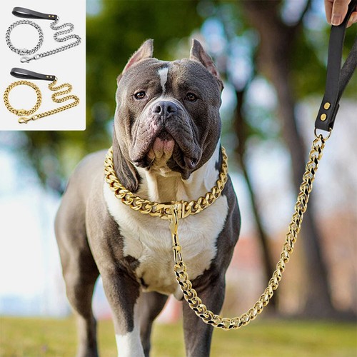 Heavy duty dog chain collar - duty,