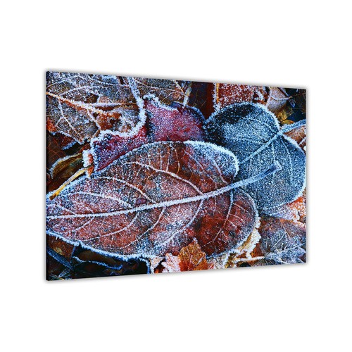 Frozen leaves canvas wall - canvas,