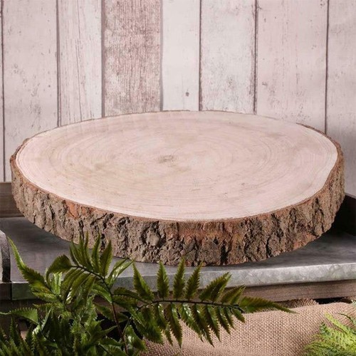 Large natural wood log slice - wood,