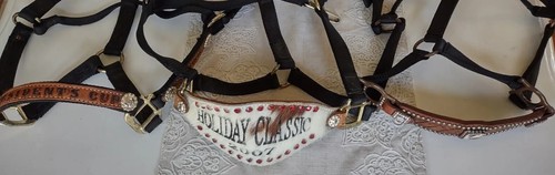 Show tack horse - show, bridles
