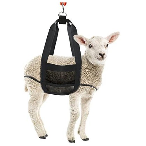 Calf sling weighing - sling,