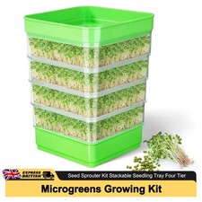 Seed sprouter germination - seed,