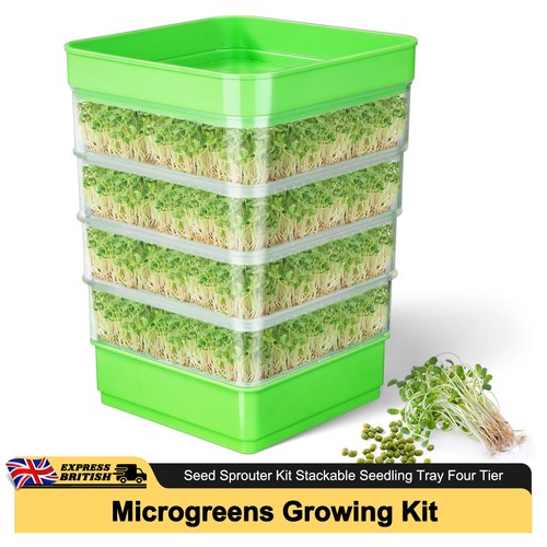 Seed sprouter germination - germination, kit