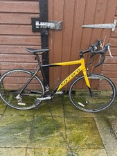 Men’s Carrera Road Pro TDF