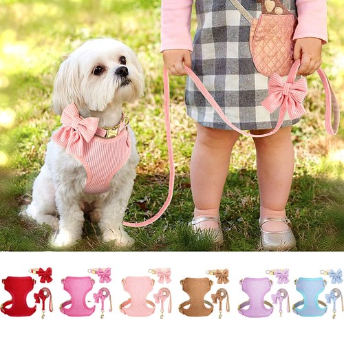3pcs cute pet puppy - pet,
