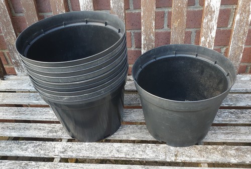 Black plastic plant - plastic,