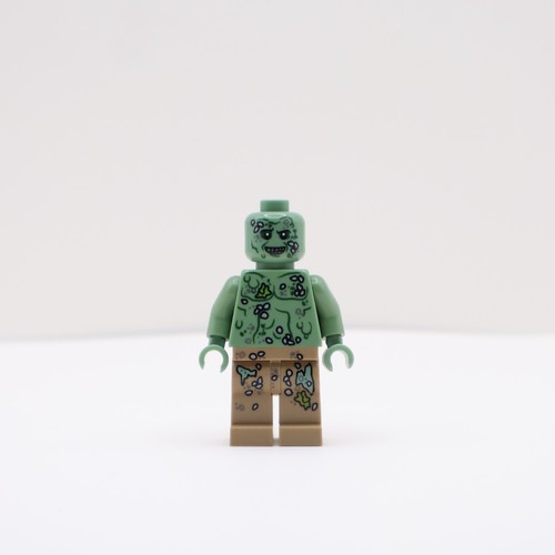 Lego pirates the caribbean - pirates,