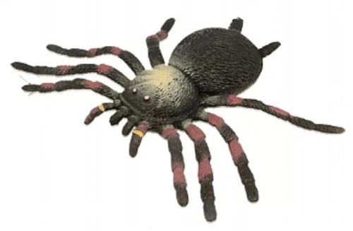 Stretchy sensory fidget - stretchy,