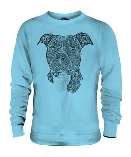Staffordshire bull terrier - bull,